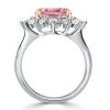 Two-Tone Princess Cut Simulated Diamond Engagement Ring in Sterling Silver